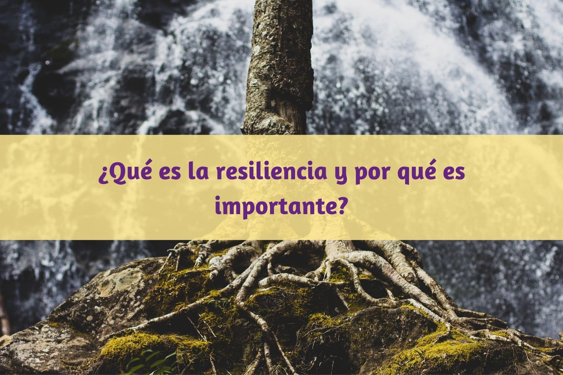 Qué es la resiliencia y por qué es importante Dyadis Psicologia